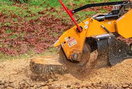 Best Lawn Disease Treatment  in Avodo Heights, CA